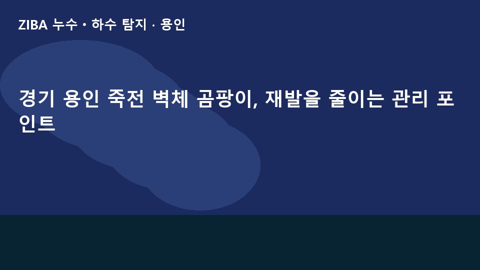 경기 용인 죽전 벽체 곰팡이, 재발을 줄이는 관리 포인트