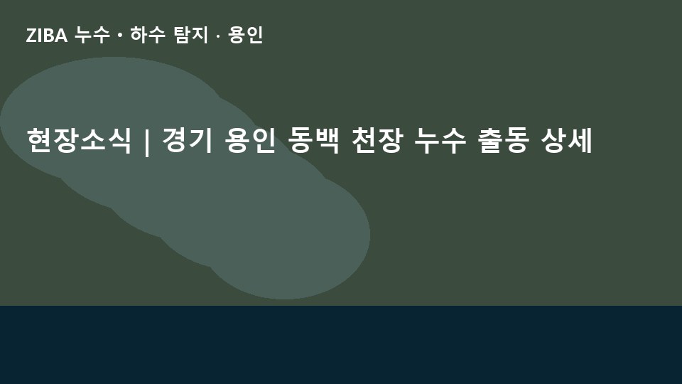 현장소식 | 경기 용인 동백 천장 누수 출동 상세